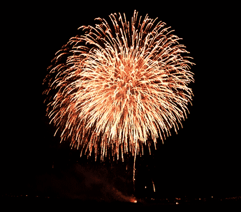 Gif animé feux d'artifices 102